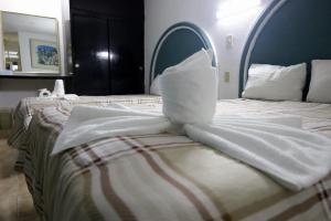 hotel hc internacional