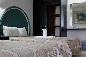 hotel hc internacional