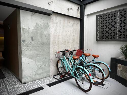 kali ciudadela mexico city