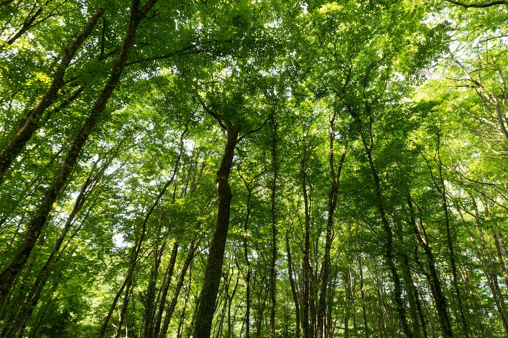 sure hotel by best western tours sud