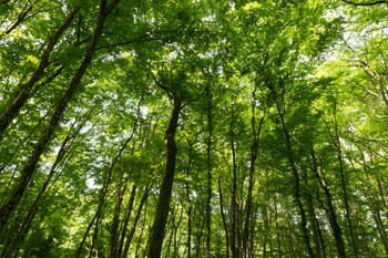 sure hotel by best western tours sud