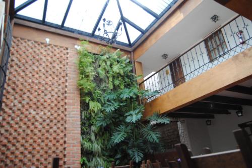 san cristobal de las casas