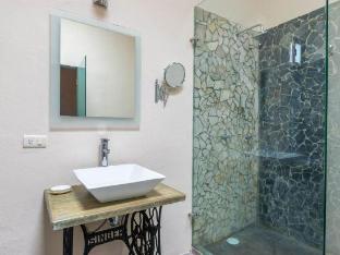 san miguel de allende