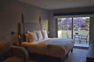 san miguel de allende