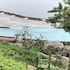 koh tao hillside resort