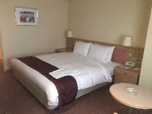 hotel lake alster alza izumiotsu