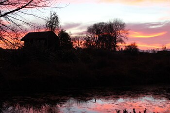 appleby house and rabbit island huts