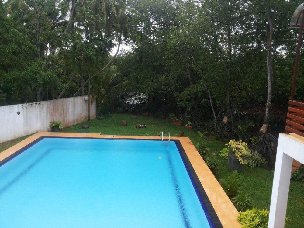 the mangrove cave hotel