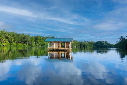 the mangrove cave hotel