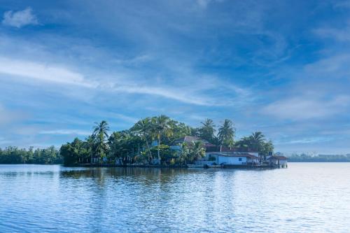 the mangrove cave hotel
