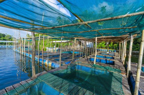 the mangrove cave hotel