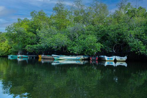 The Mangrove Cave Hotel,Greater Kailash - South Delhi,3 star