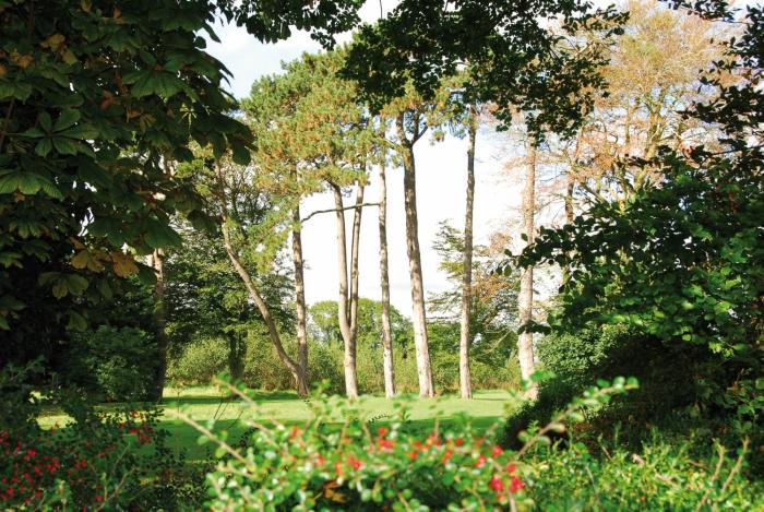 roganstown hotel and country club