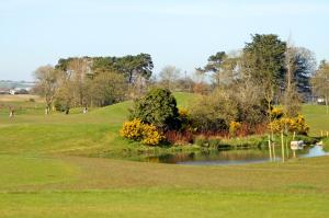 roganstown hotel and country club
