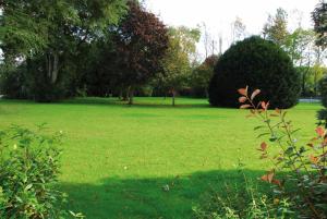 roganstown hotel and country club