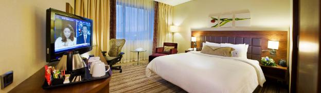 hilton garden inn kutahya
