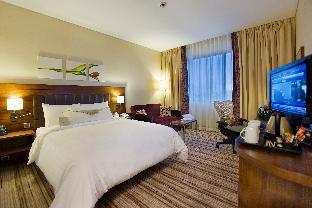 hilton garden inn kutahya
