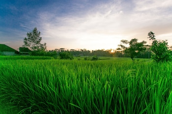 pesantian villa and warung