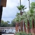 comfort suites lake charles