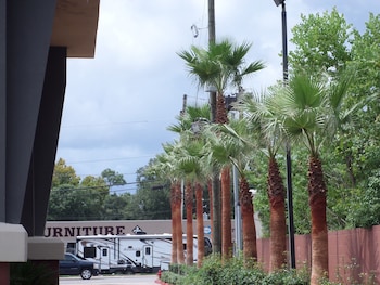 comfort suites lake charles