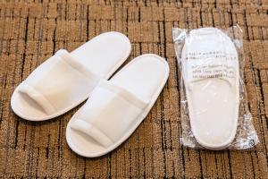 hotel mystays haneda