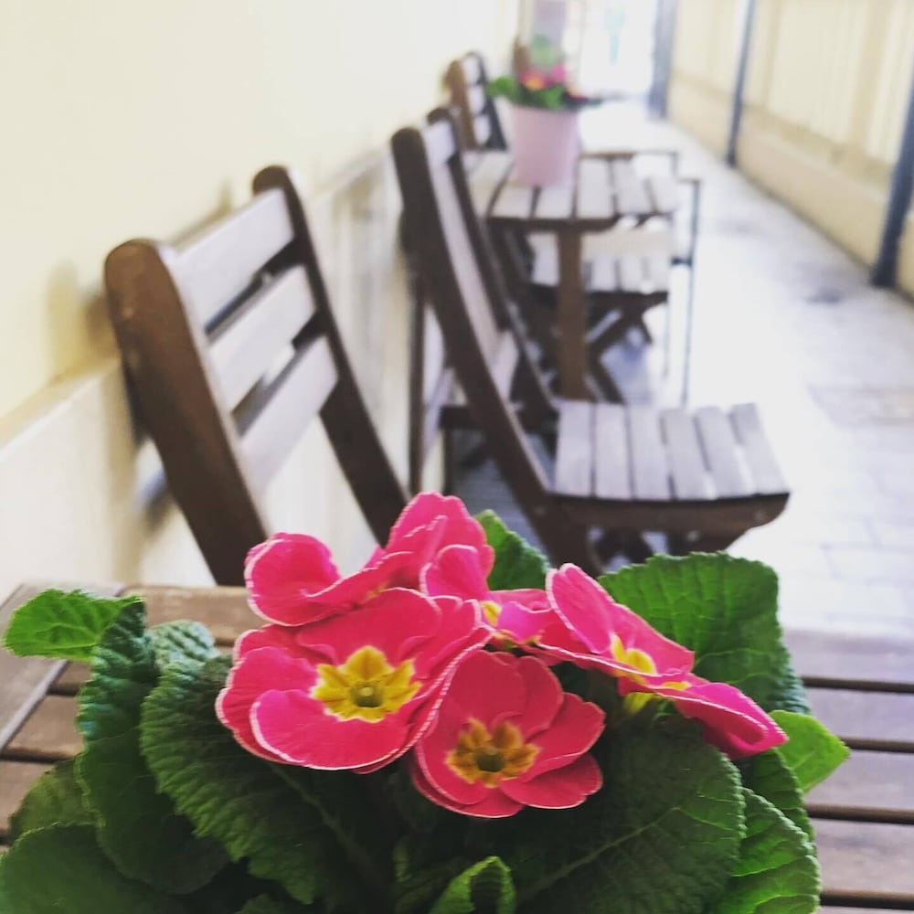 ristorante hotel lucia