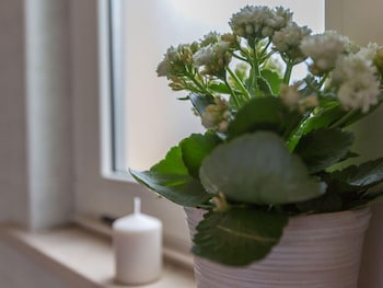 ristorante hotel lucia