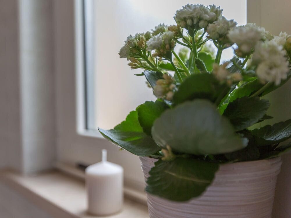 ristorante hotel lucia