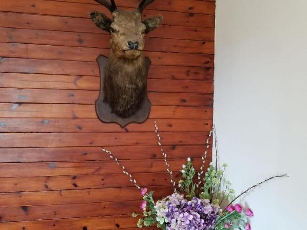 inverness