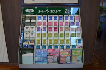 hotel route inn isehara ooyama inter
