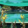 bohemiaz resort and spa