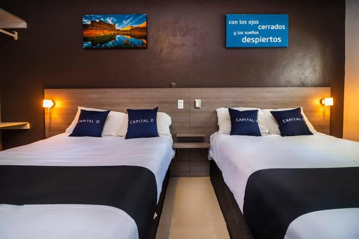 collection o hotel mango six flags hurricane harbor oaxtepec