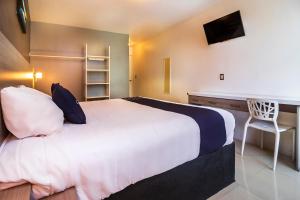 collection o hotel mango six flags hurricane harbor oaxtepec