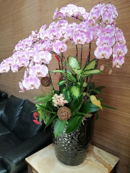 shan yue hotspring hotel