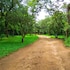 lilongwe