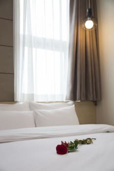 hotel nafore