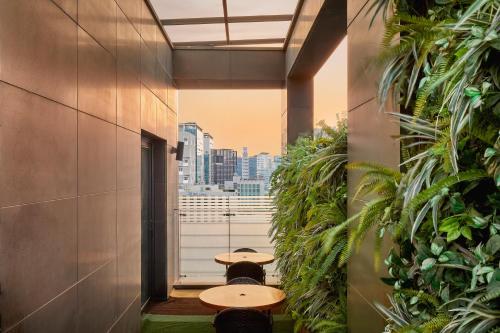 hotel poco seongsu