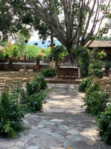 hacienda el carmen hotel and spa