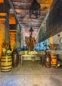 hacienda el carmen hotel and spa