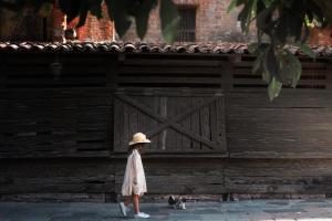 hacienda el carmen hotel and spa