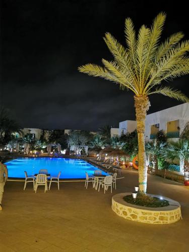 djerba midun