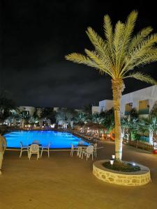 djerba midun