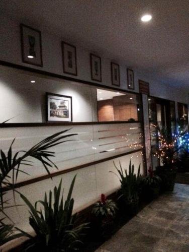 green paradise hotel