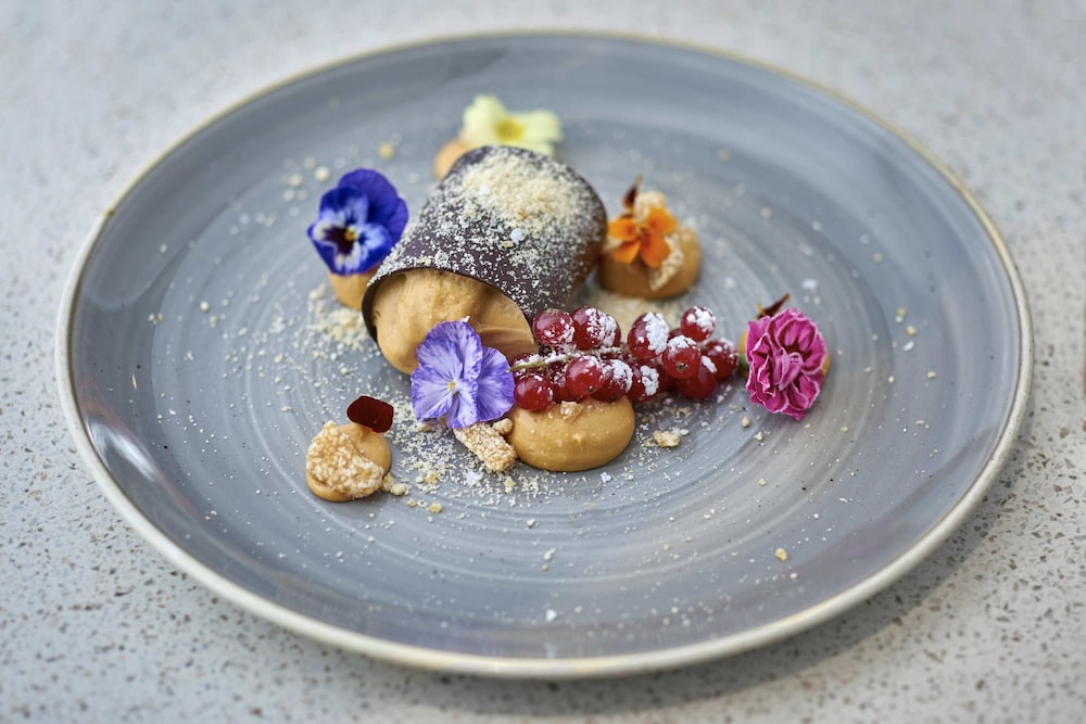 norfolk towers paddington hotel