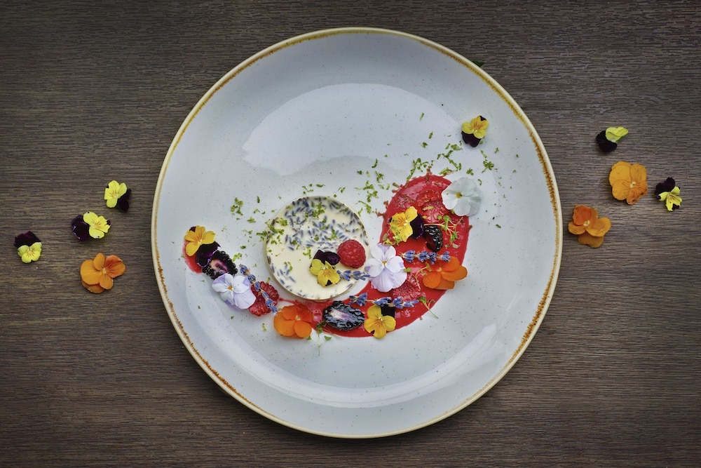 norfolk towers paddington hotel