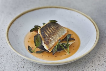 norfolk towers paddington hotel