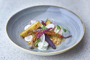 norfolk towers paddington hotel