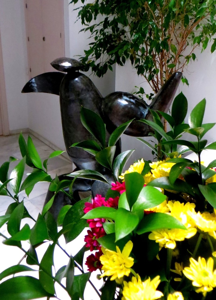 hotel un patio al sur