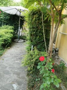 prince residence apartments