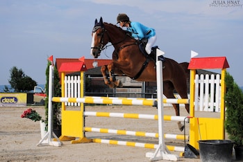 hotel szary residence